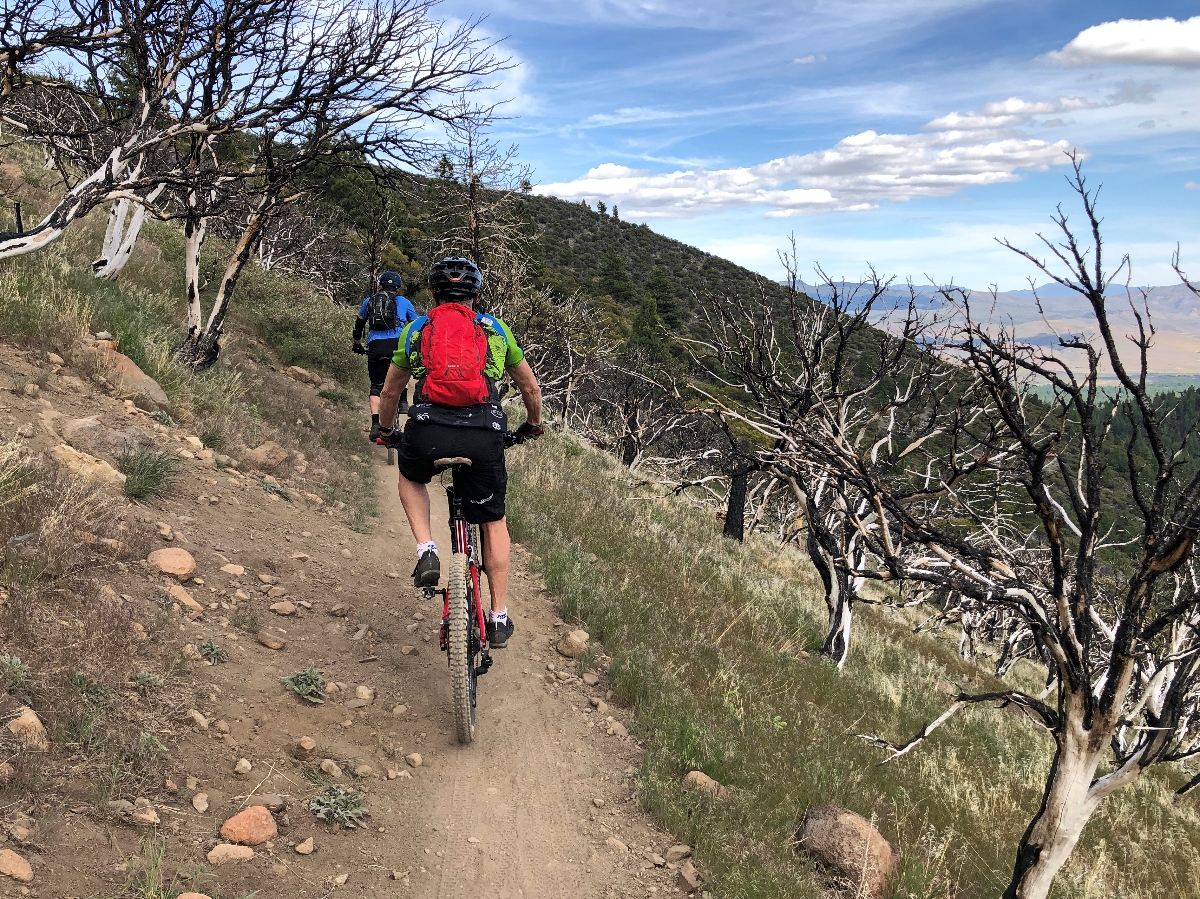 Dry Pond Loop, Reno