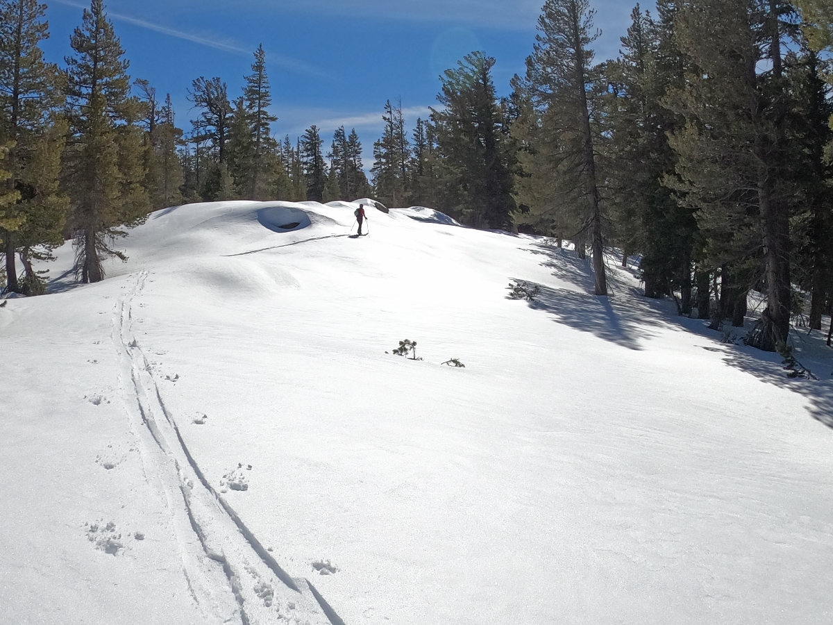 Round Top Mountain – March 2020