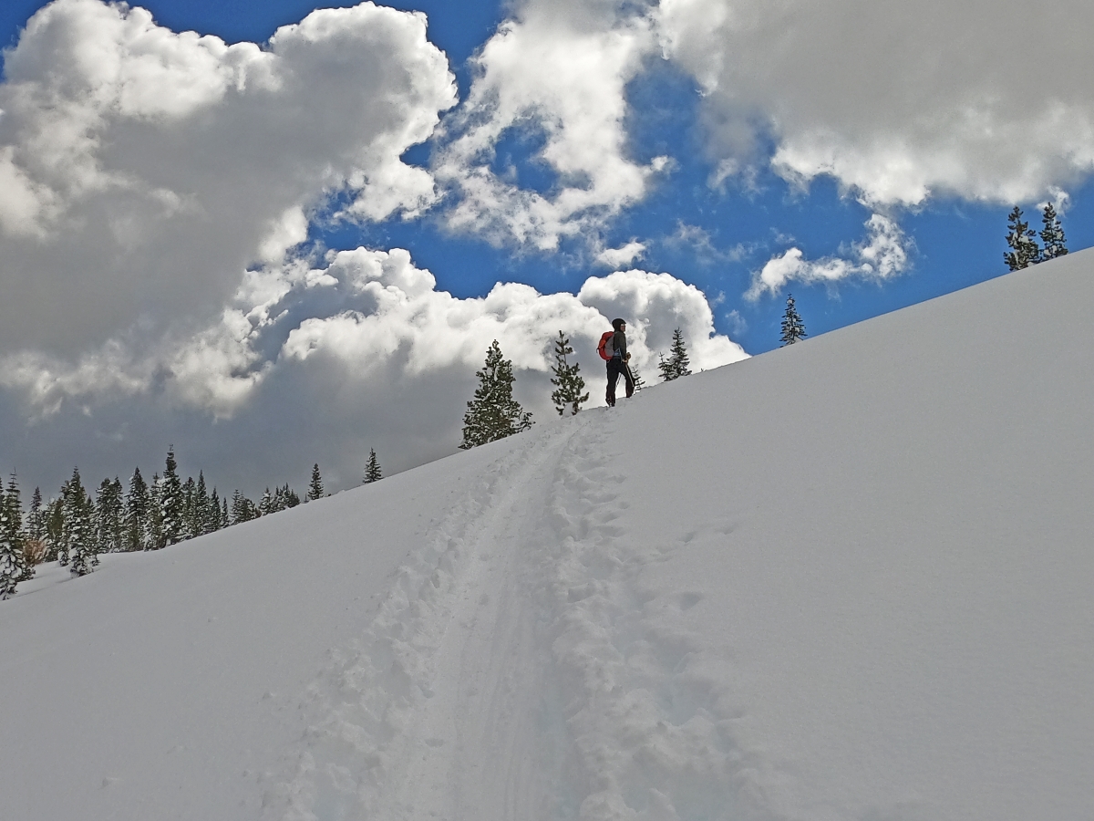 Round Top Mountain – March 2020